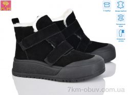 PLPS ZH729-2 фото