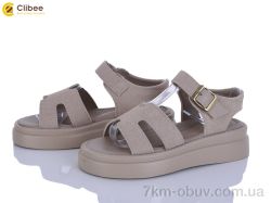 Clibee ZC2280-2 фото