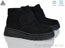 STILLI Group E140-2R шкіра фото