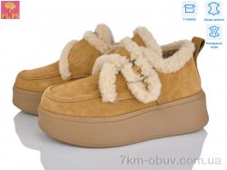 PLPS 6803-6 фото