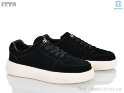 ITTS T6626-2 фото
