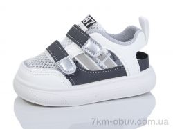 ASHIGULI 2064-1 фото