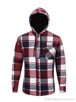 Verton W2509 bordo фото