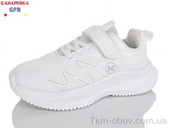 GFB-Канарейка R346-2 фото