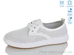 Lilin PDJB53-1 фото