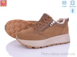 PLPS YJ681-2 фото