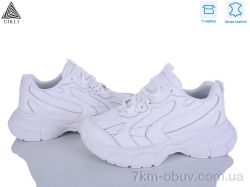 STILLI Group S200-6 шкіра фото