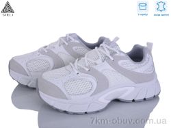 STILLI Group NK100-5 шкіра фото