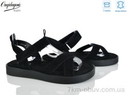 Dageni F208-8 фото