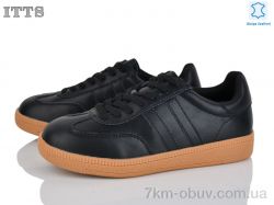 ITTS Q005-A фото