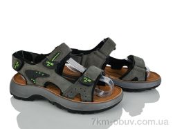 KIMBOO T64-3L фото