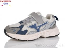 GFB-Канарейка R335-4 фото