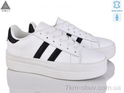 STILLI Group WA50-6 шкіра фото