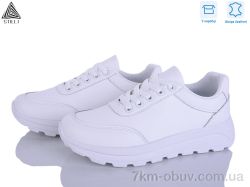 STILLI Group XG20-1 шкіра фото