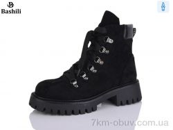 Башили F236-6 фото