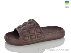 RGP 116 коричневий фото