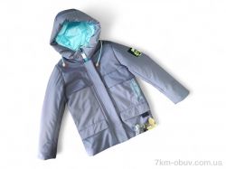 Kids-modnik 4812 сірий фото