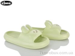 Wei Wei-Class 7221 green фото