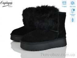 Dageni HA5887-1B фото