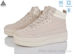 STILLI Group WA130-7R шкіра фото