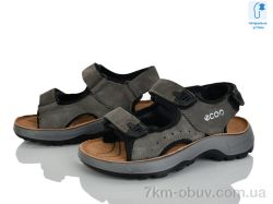 KIMBOO T61-2L фото