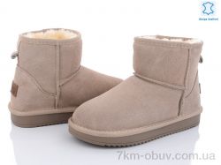 ITTS 5854-13 фото