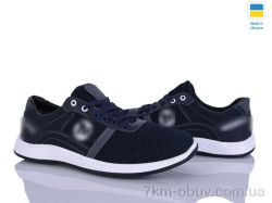 Paolla 441M синій фото