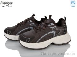 Dageni M1105-9 фото