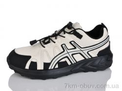 Moli B8023-3 фото