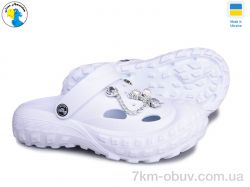 Jose Amorales 124500 фото