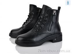 Lino Marano L393-E фото