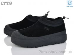 ITTS KT93-1 фото