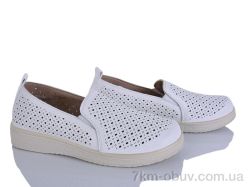 Lion-Lu 2024-36 фото