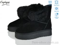 Dageni HA1801-1 фото