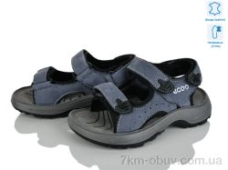 KIMBOO T61-2D фото