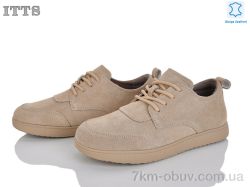 ITTS CK16-5 фото