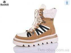 Башили E253-13 фото