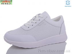 HENGJI-ELENA 113-3 фото