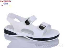 GFB-Канарейка R830-2 фото