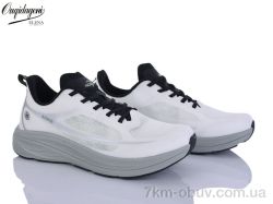 Dageni A2773-19 фото