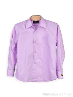 Victoria AR111-4 violet фото