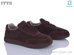 ITTS P03-5 фото