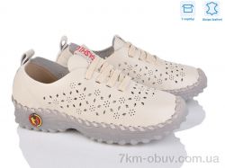 Захар-Gold 0T16-2 фото