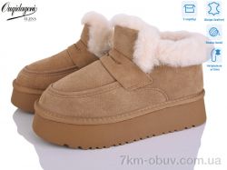 Dageni OQ011-2 фото