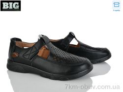 BIG D1018-2 фото