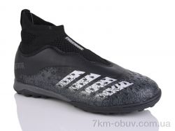 ASHIGULI 289A фото