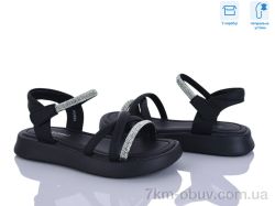 Clibee-ShoSho ABX0984P black фото
