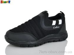 Sharif 11006-8 фото