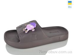 Lot Shoes N109 коричневий фото