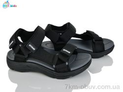 BBT L850-2-2 фото